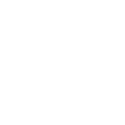 Vue.js logo